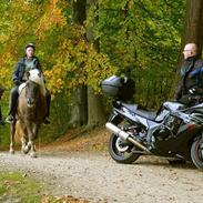 Honda CBR 1100 XX SuperBlackbird solgt