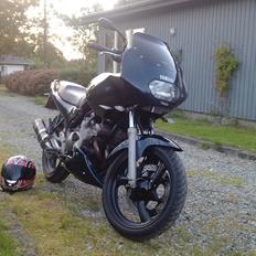 Yamaha XJ 600 S Diversion (Yamissen)