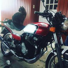 Honda Cbx 550f [SOLGT]