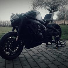 Suzuki Gsxr 1000 "Brutalis" 