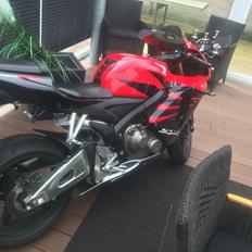 Honda Cbr 600 rr SOLGT