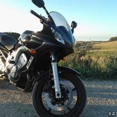 Yamaha FZ6 S