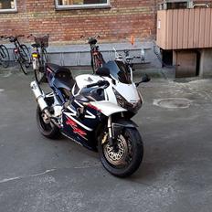 Honda cbr954rr