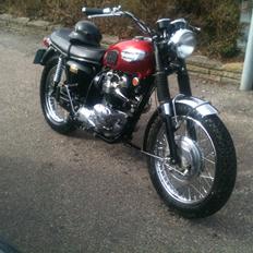 Triumph Tr6c/ Trophy 650.