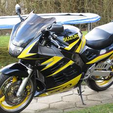 Suzuki RF 900 R