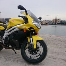 Aprilia SL1000 Falco