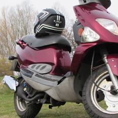 PGO T-rex 150