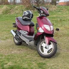 PGO T-rex 150