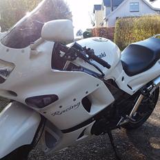 Kawasaki ZZR 600 ( zx600e) zzr600