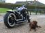 Suzuki Intruder M800 (custom) Tidl. MC