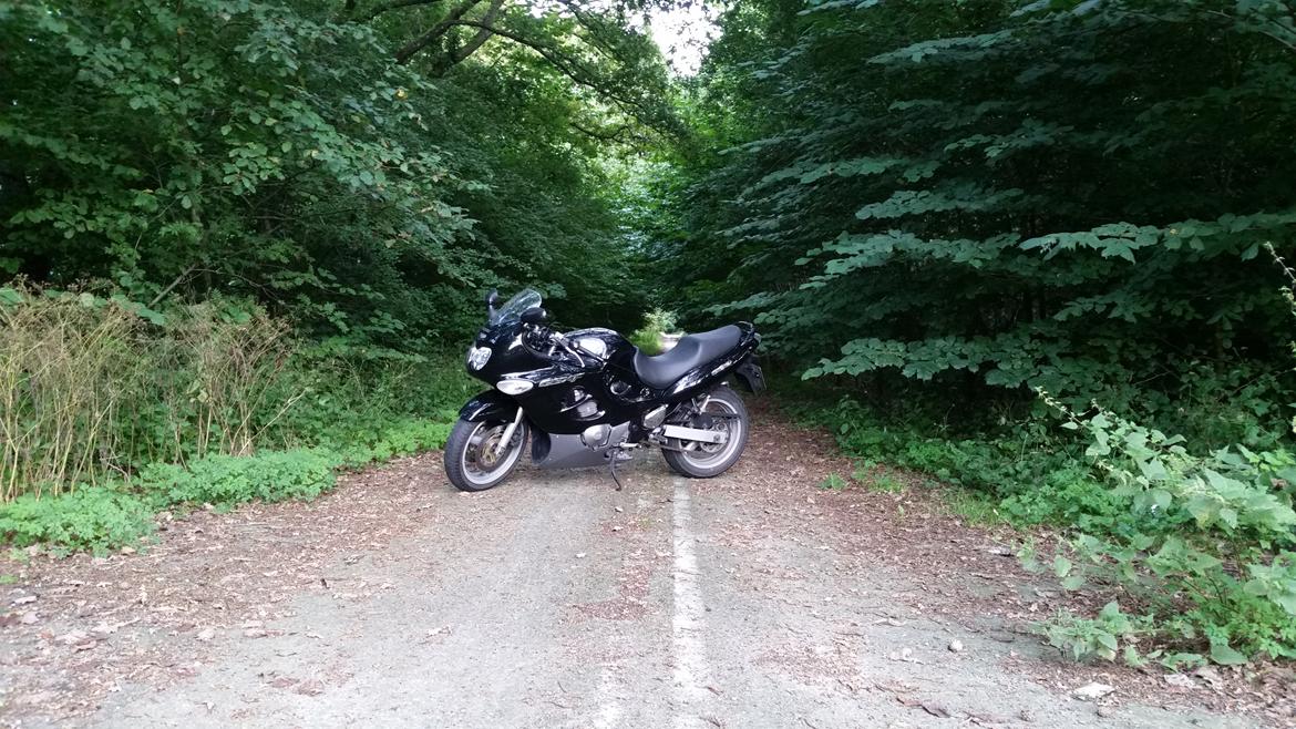 Suzuki GSX 600F billede 2