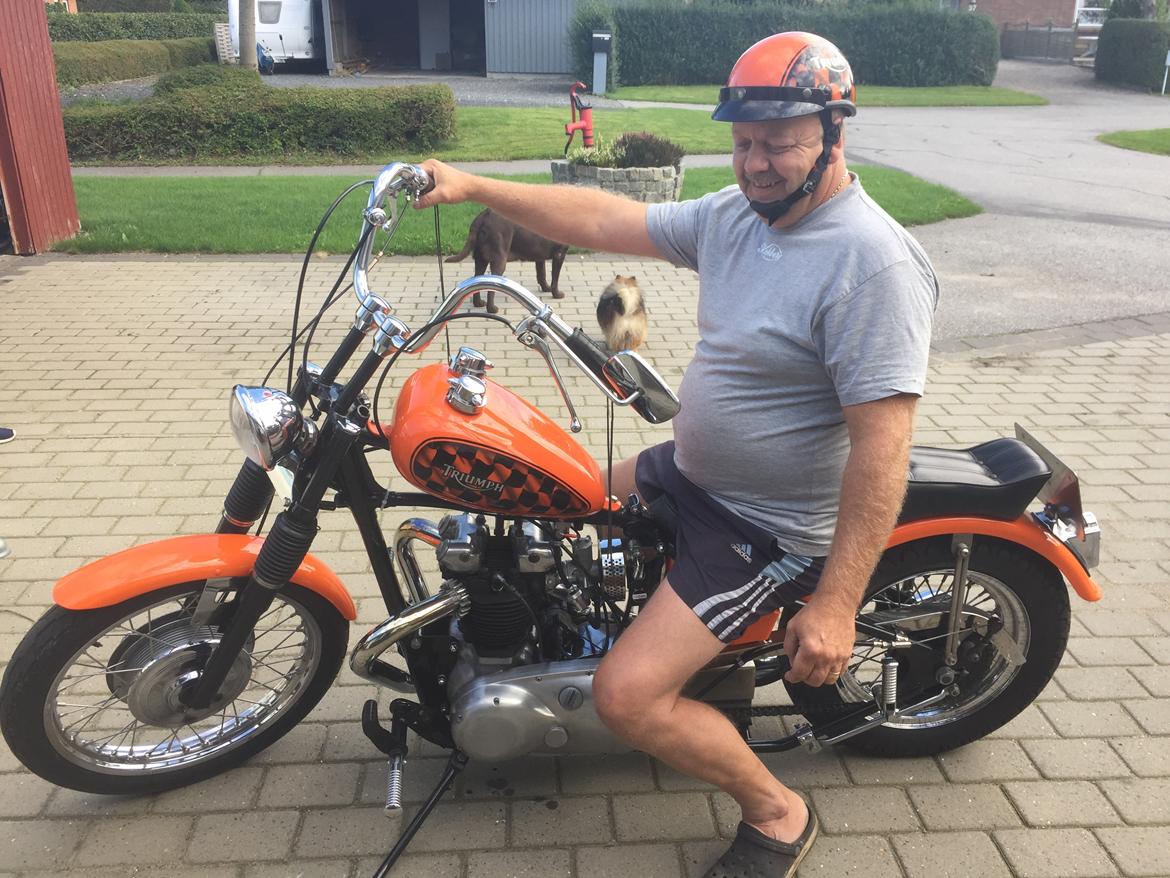 Triumph 5t billede 5