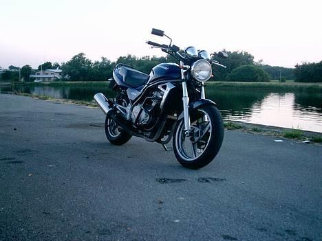 Kawasaki ER-5 billede 2