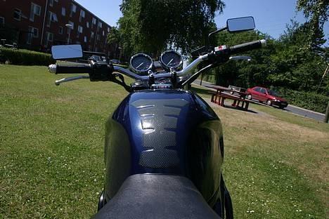 Kawasaki ER-5 billede 6