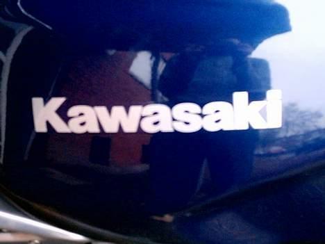 Kawasaki ER-5 billede 9