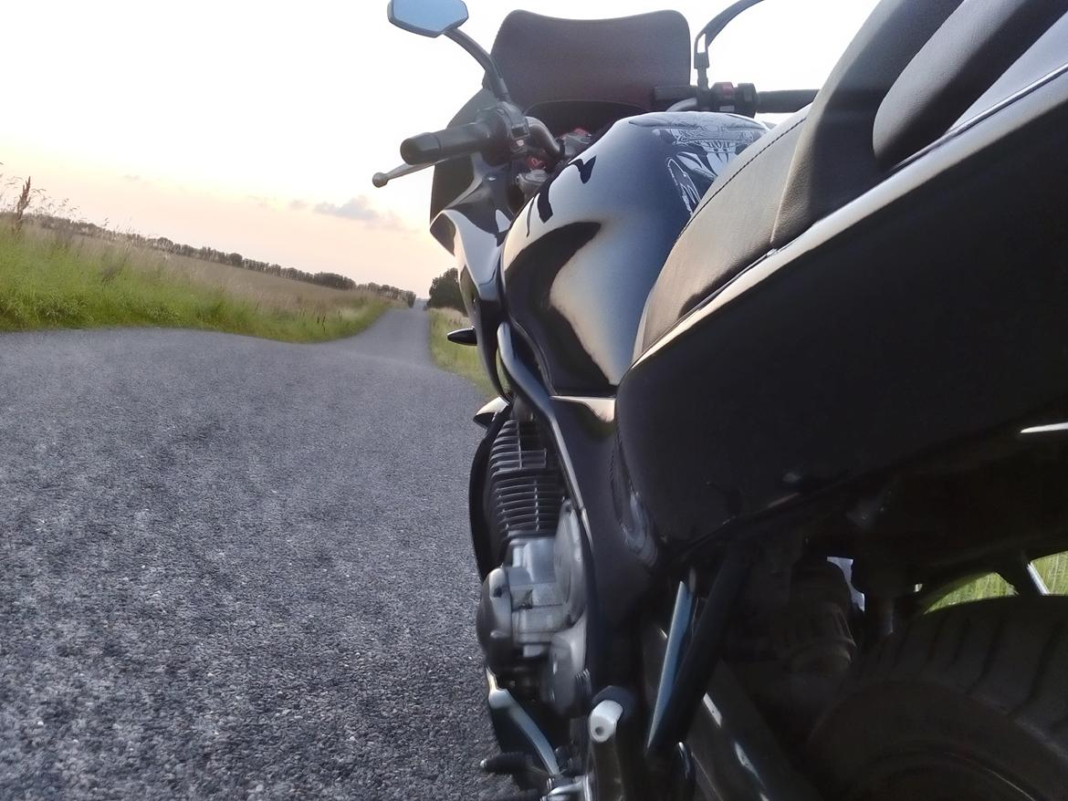 Yamaha XJ 600 S Diversion (Yamissen) billede 6