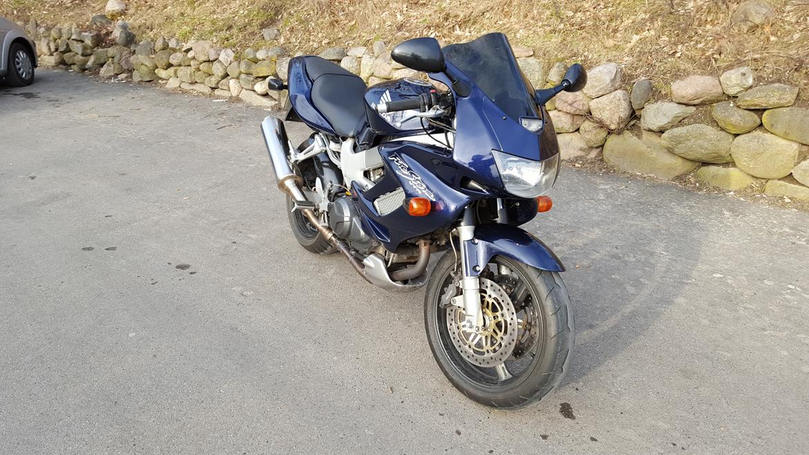 Honda VTR1000 Firestorm billede 2