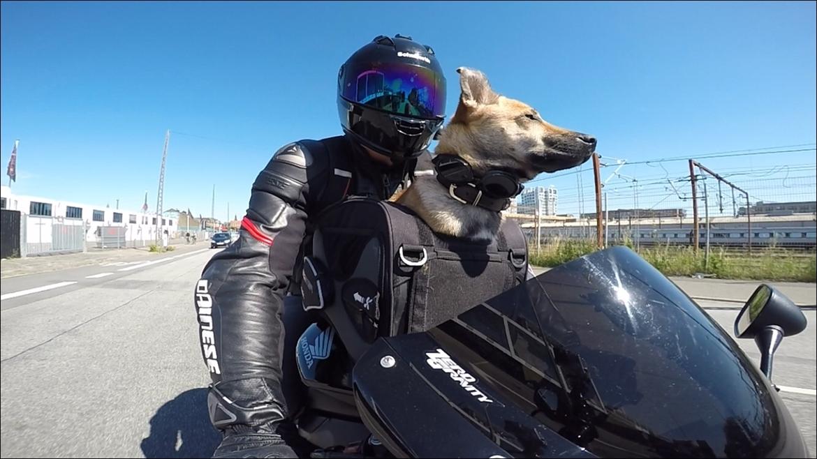 Honda CBR 1000 RR billede 23