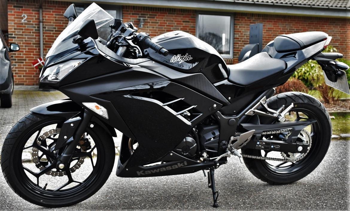 Kawasaki Ninja 300 R ABS billede 1