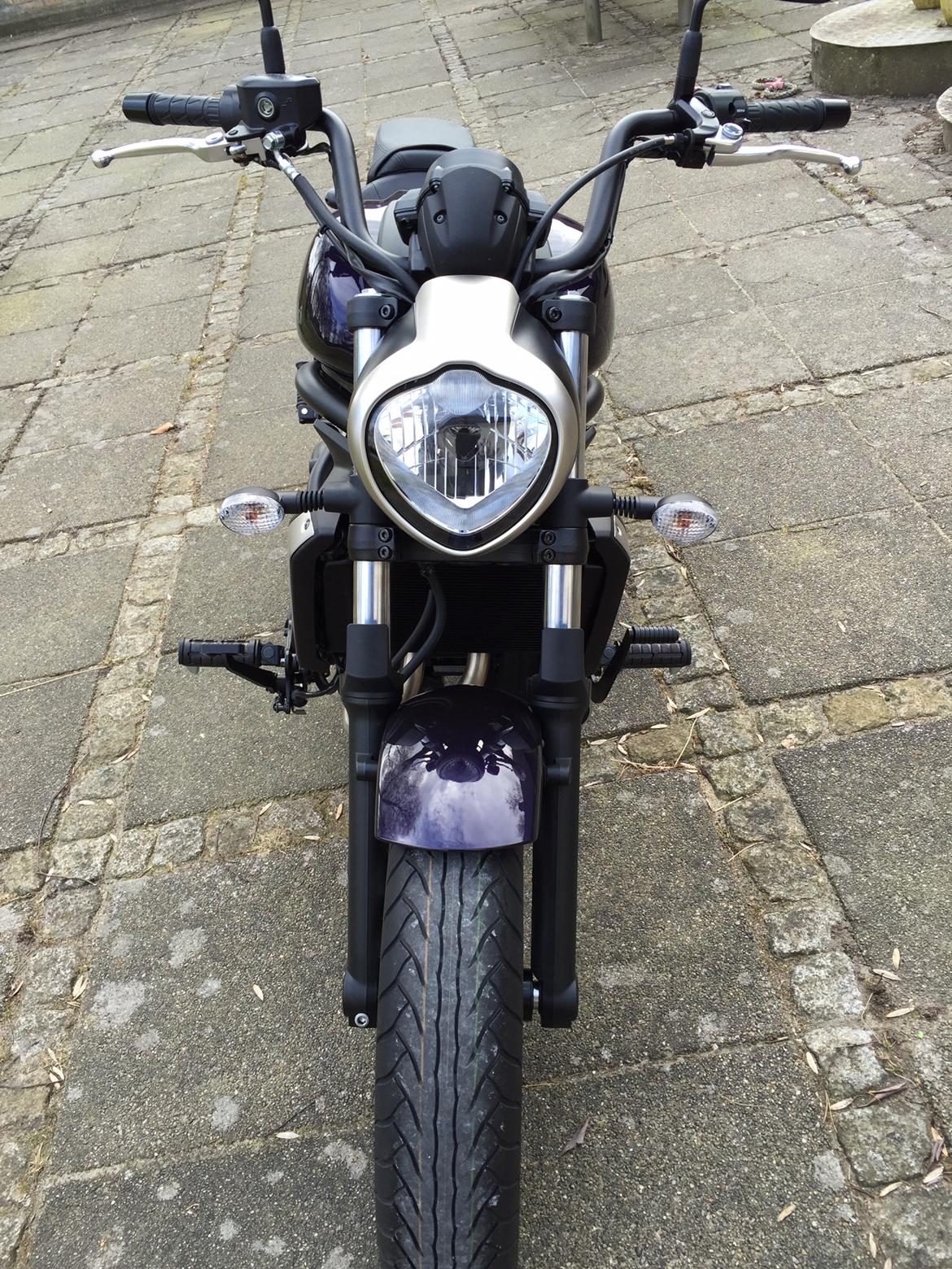 Kawasaki Vulcan s 650 billede 8