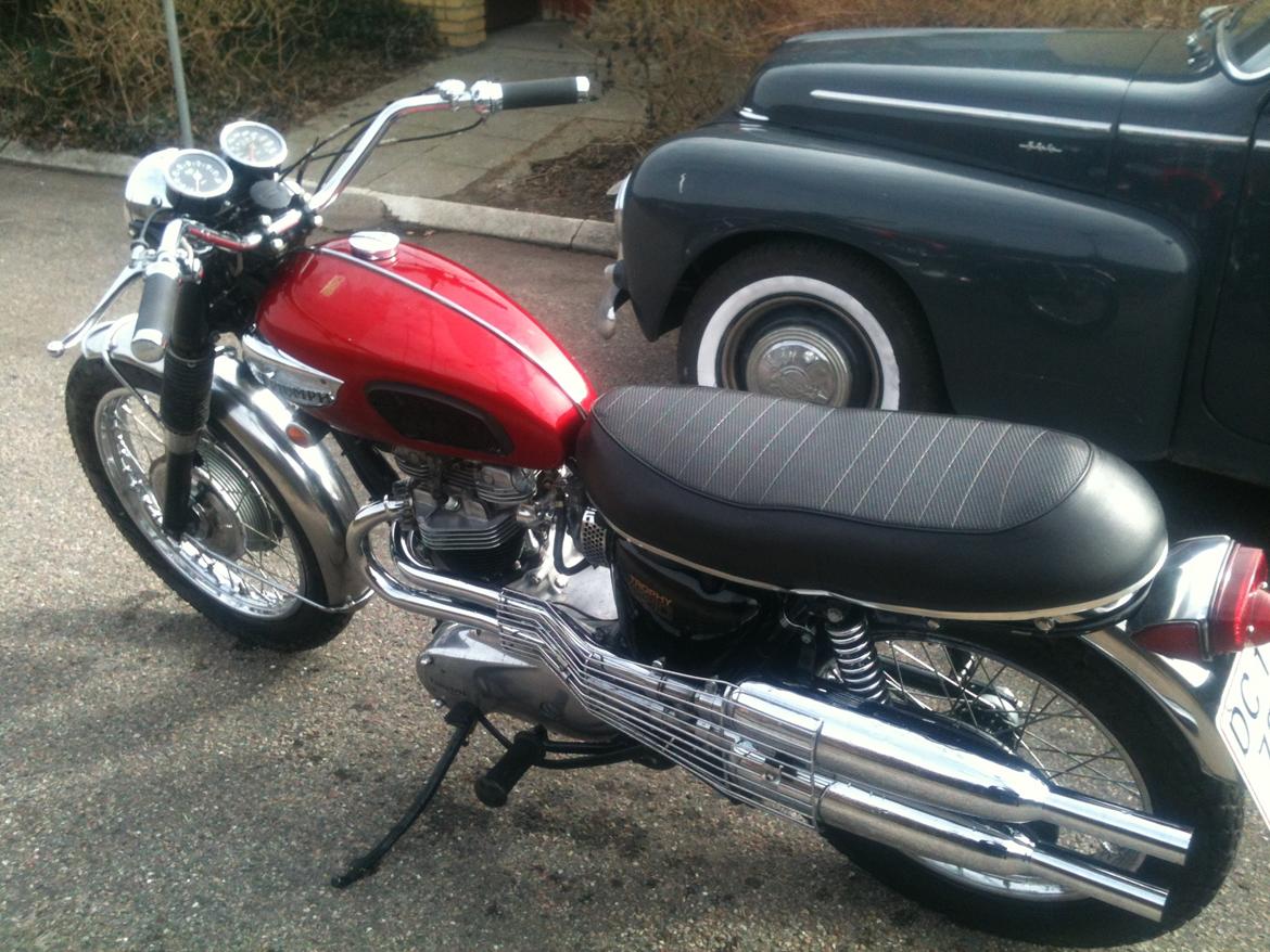 Triumph Tiger billede 8