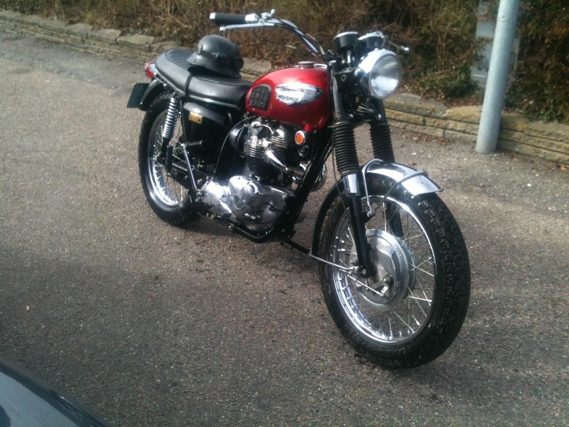 Triumph Tr6c/ Trophy 650. billede 1