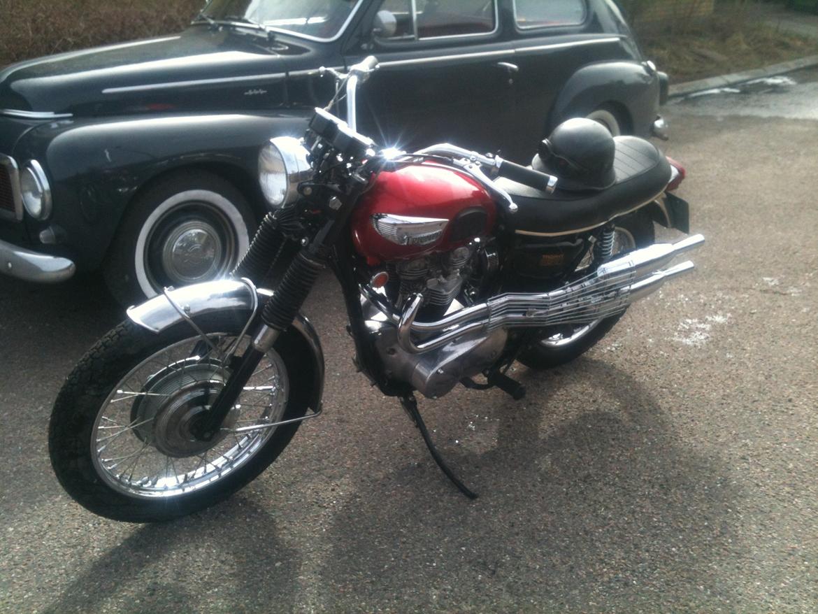 Triumph Tr6c/ Trophy 650. billede 2