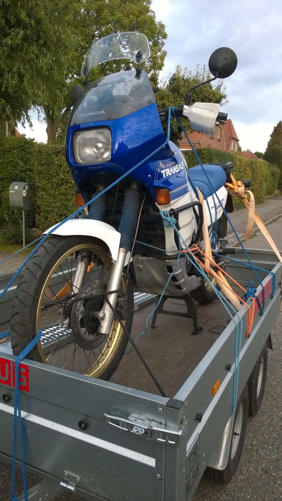 Honda Transalp billede 2