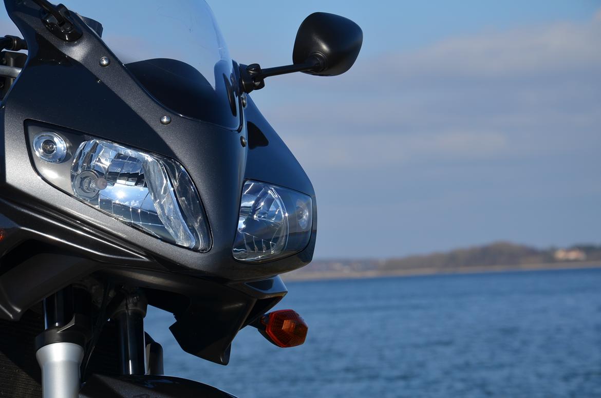 Suzuki SV650 billede 7