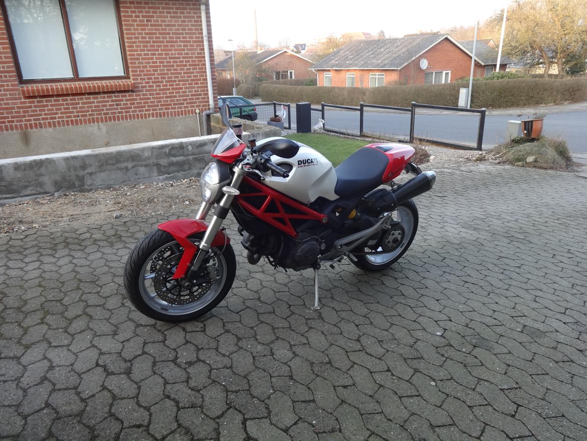 Ducati Monster 1100 billede 1