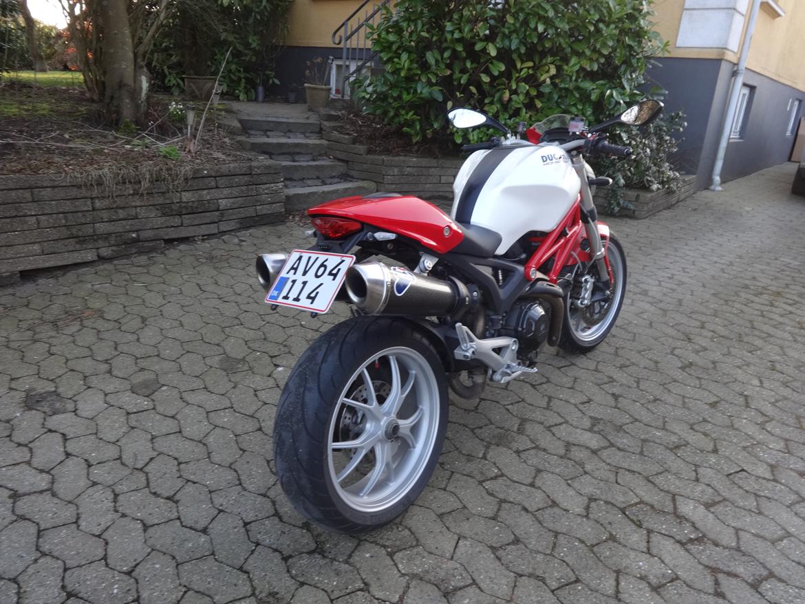 Ducati Monster 1100 billede 5