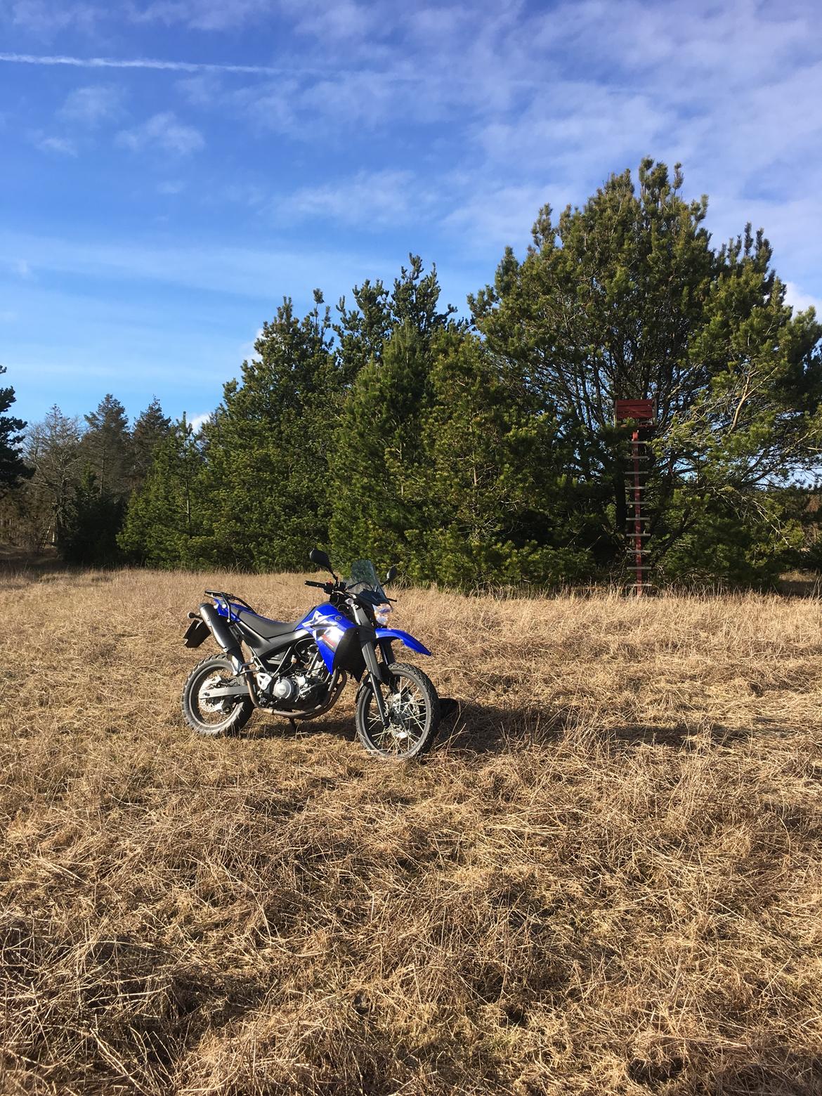 Yamaha XT 660 R  billede 7