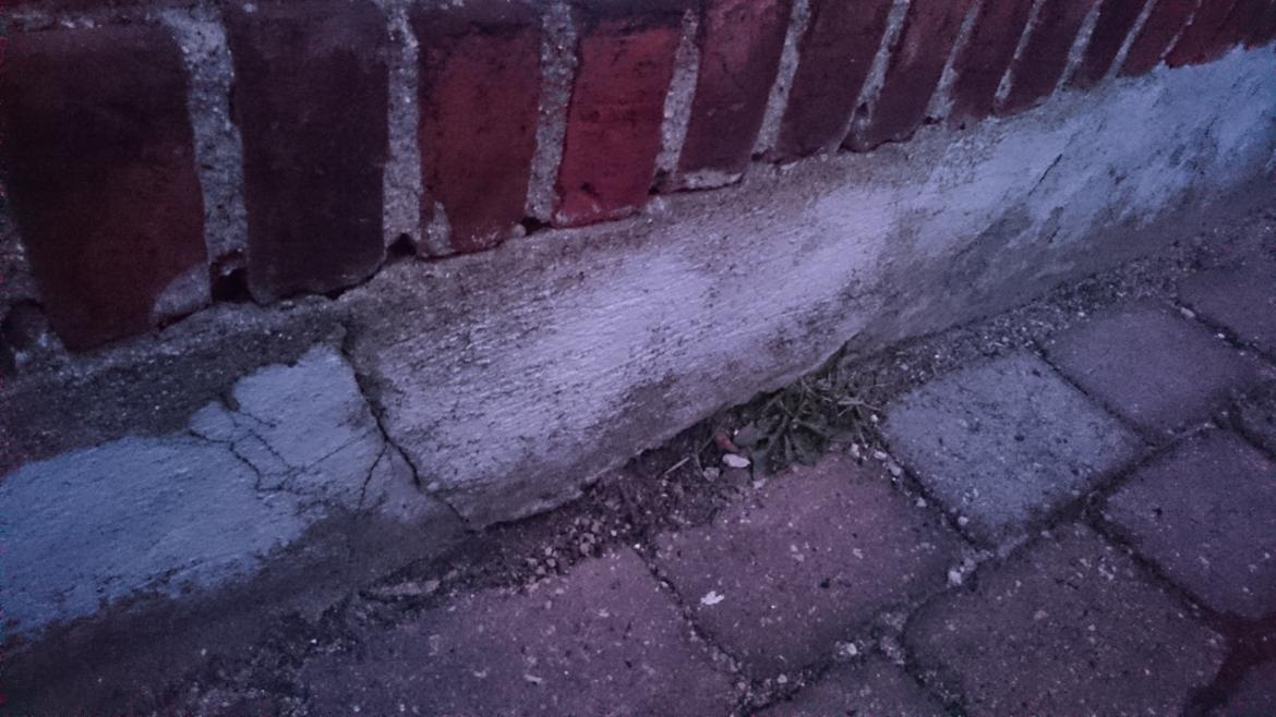 Honda CBR 600 F2 billede 23