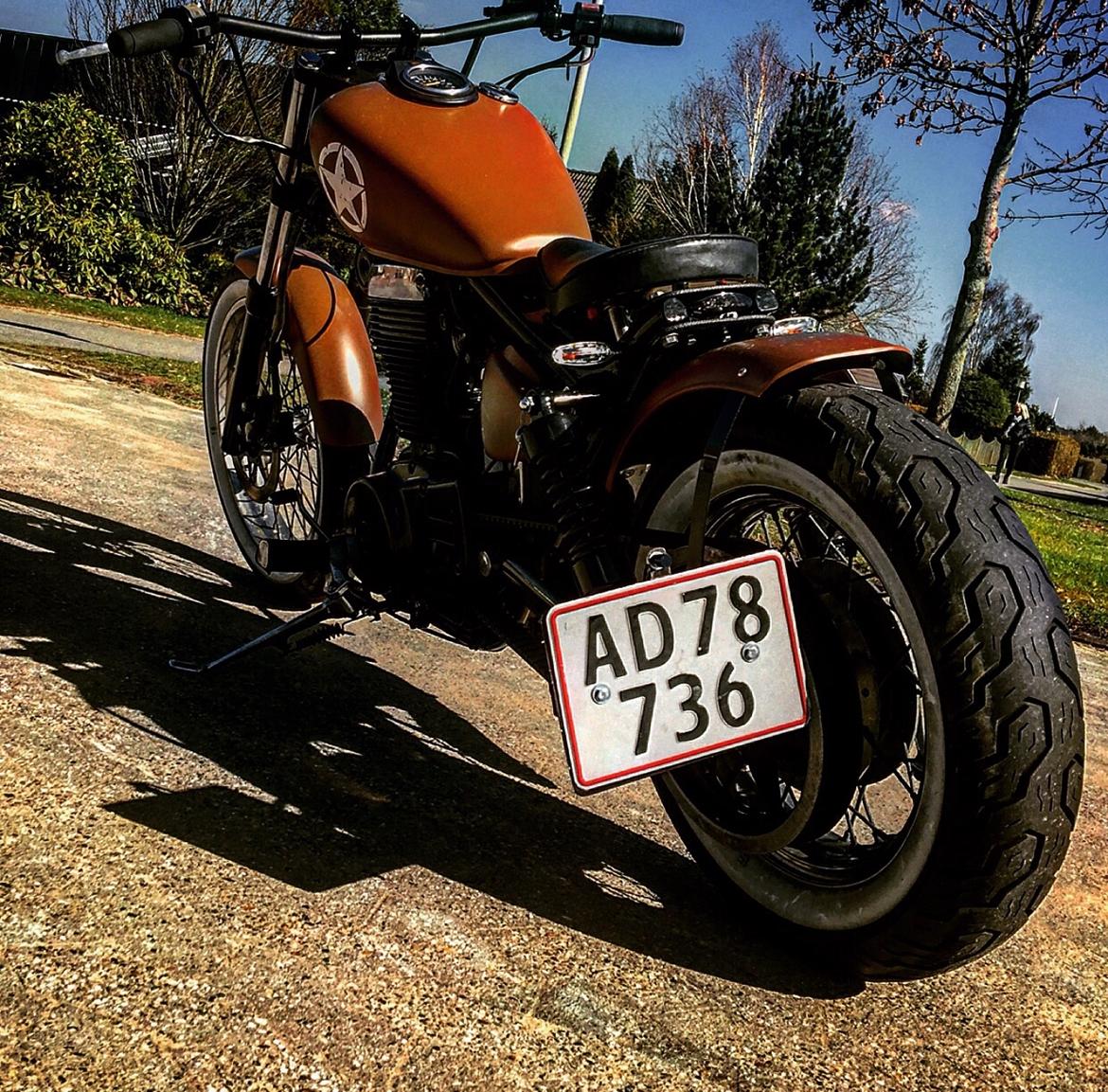 Suzuki Ls 650 billede 4