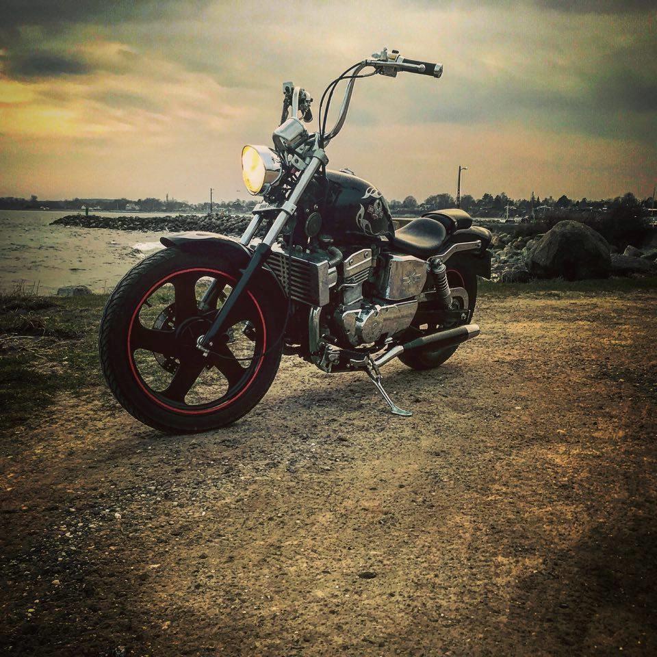 Regal Raptor DD250E-9 billede 1