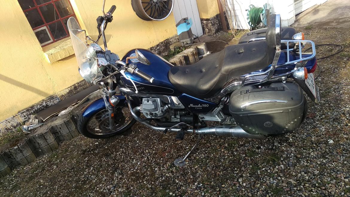 Moto Guzzi Nevada 750 club (Solgt)  billede 1