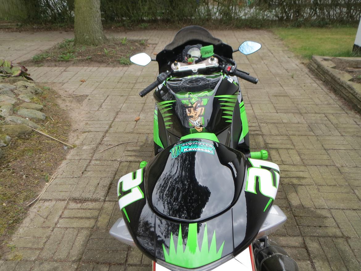 Kawasaki ZX10R (R.I.P) billede 10