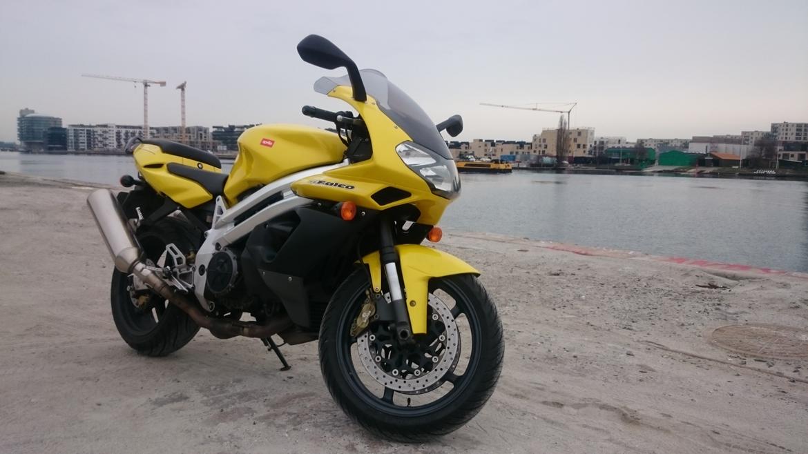 Aprilia SL1000 Falco billede 1