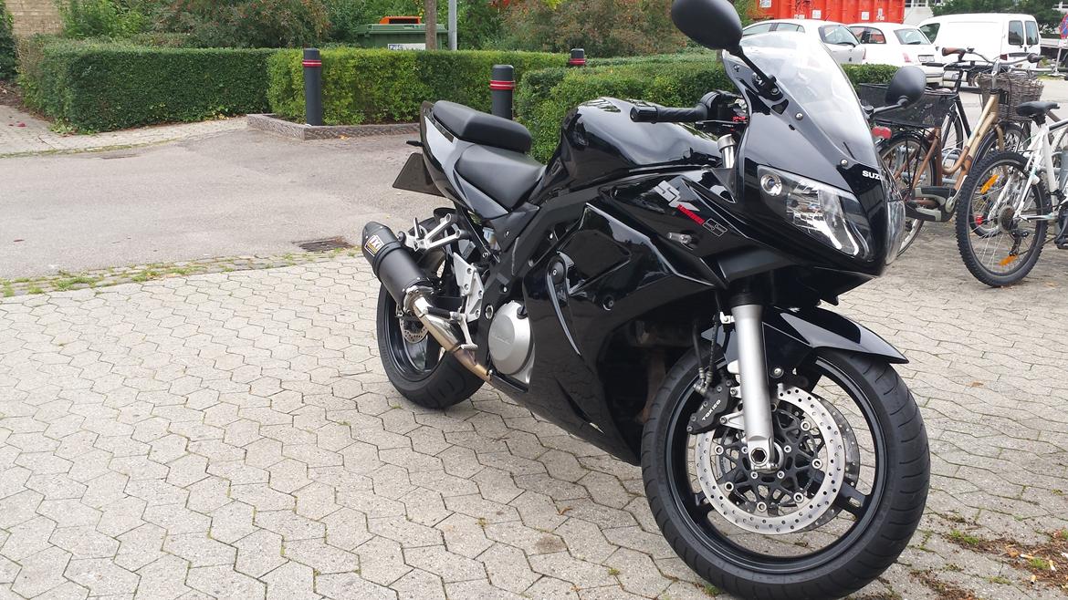 Suzuki SV1000S billede 5