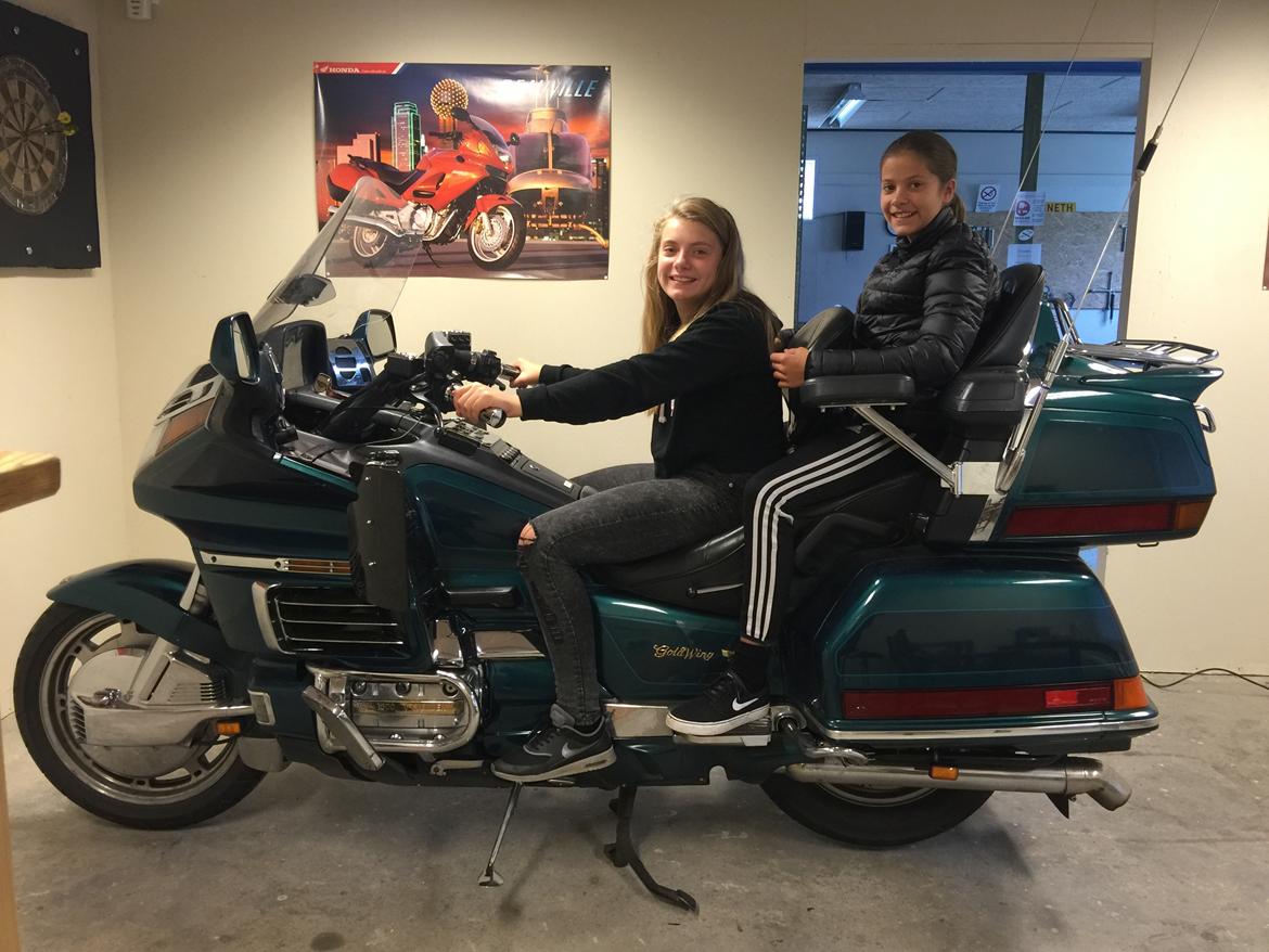 Honda Goldwing GL 1500 SE billede 7