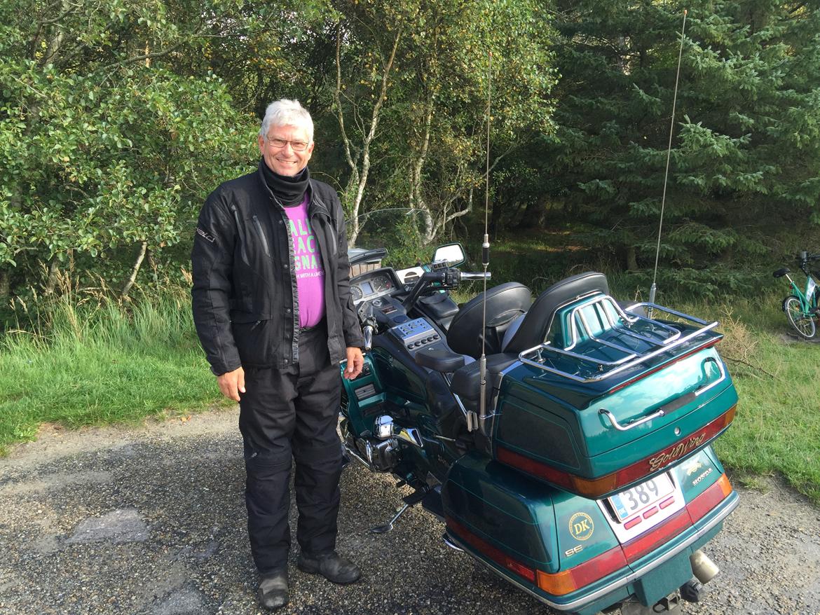 Honda Goldwing GL 1500 SE billede 6
