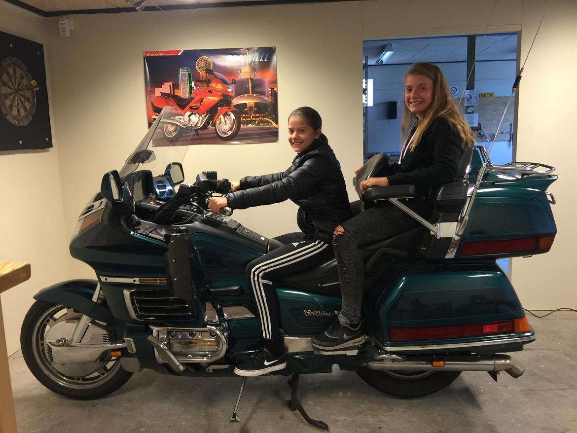 Honda Goldwing GL 1500 SE billede 8