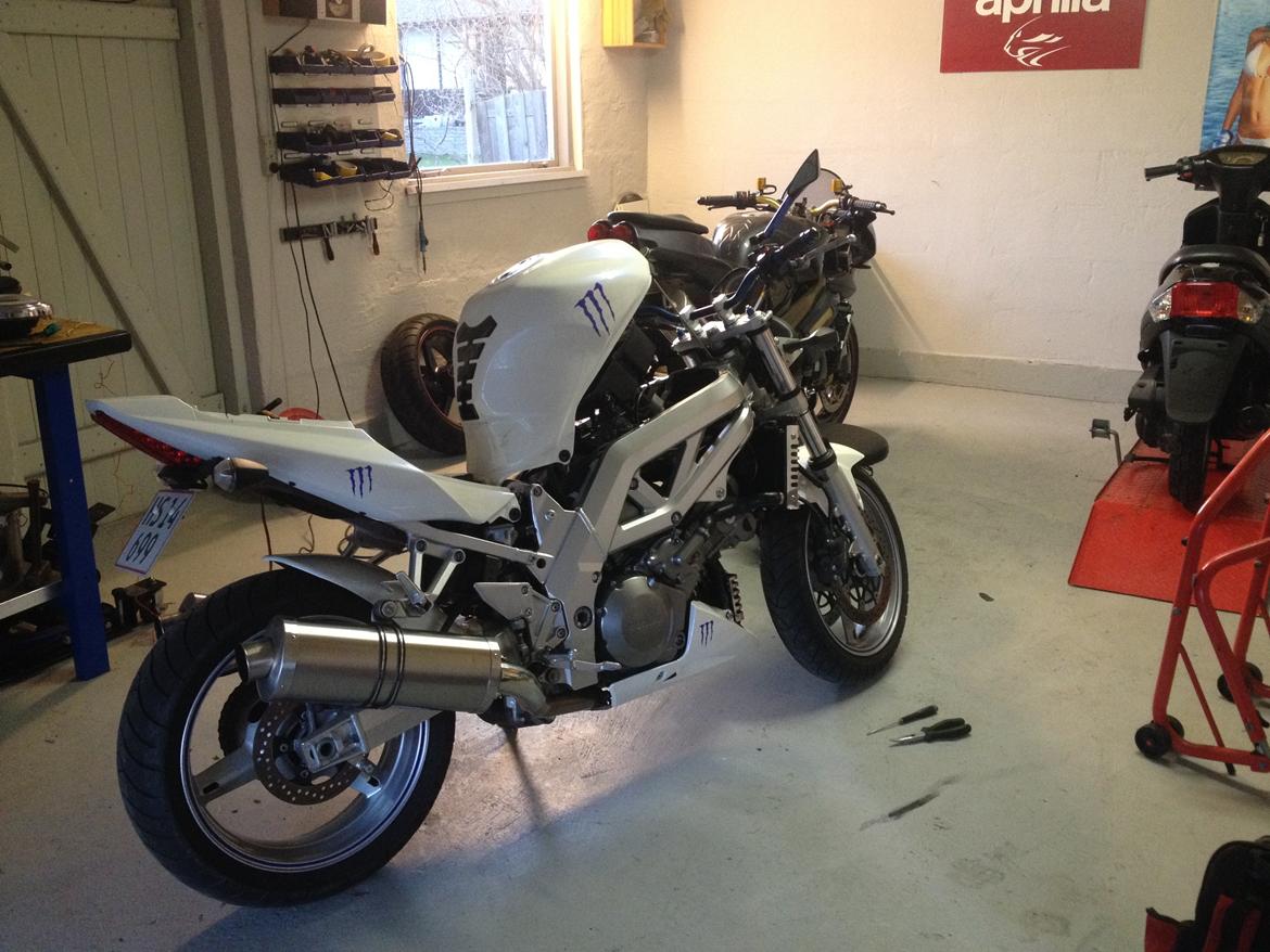 Suzuki SV 1000 N billede 31