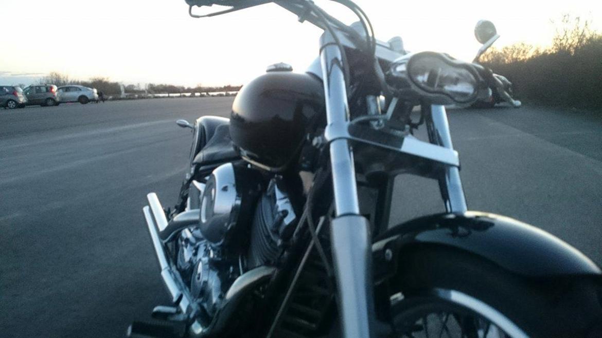 Yamaha XVS dragstar billede 5