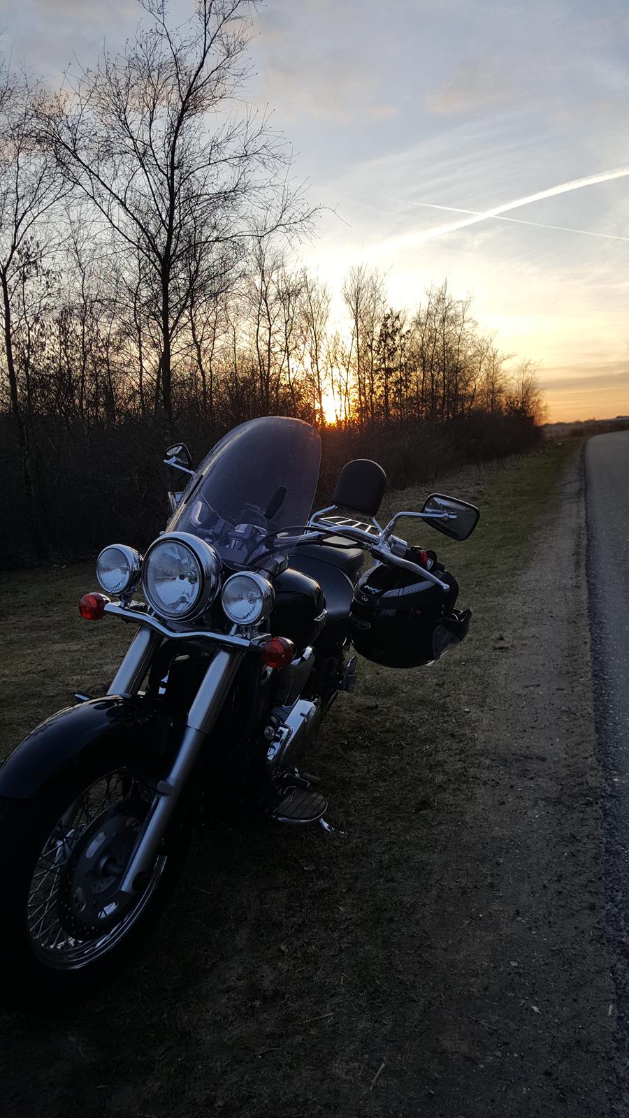 Kawasaki VN 900 Classic billede 6