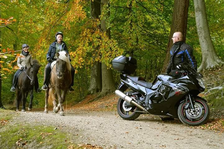 Honda CBR 1100 XX SuperBlackbird solgt billede 1