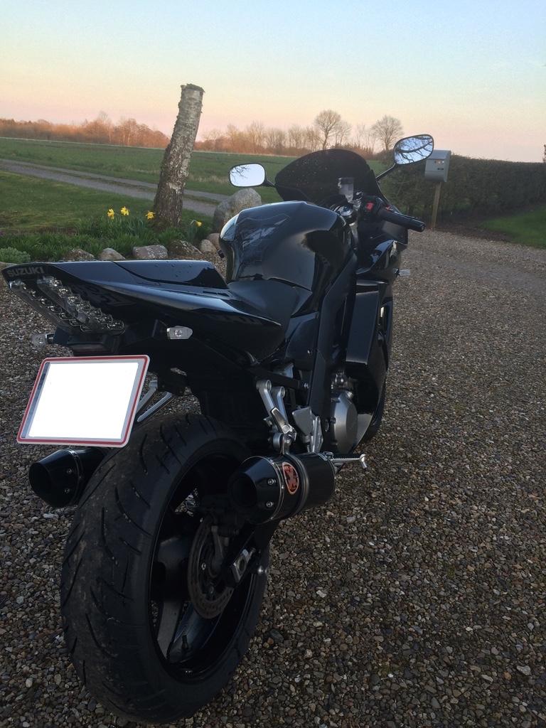 Suzuki SV 1000 S billede 5