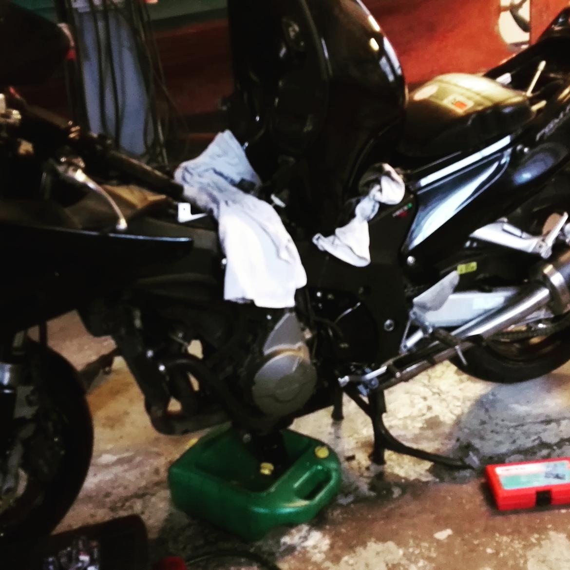 Honda cbr 1100xx blackbird billede 4