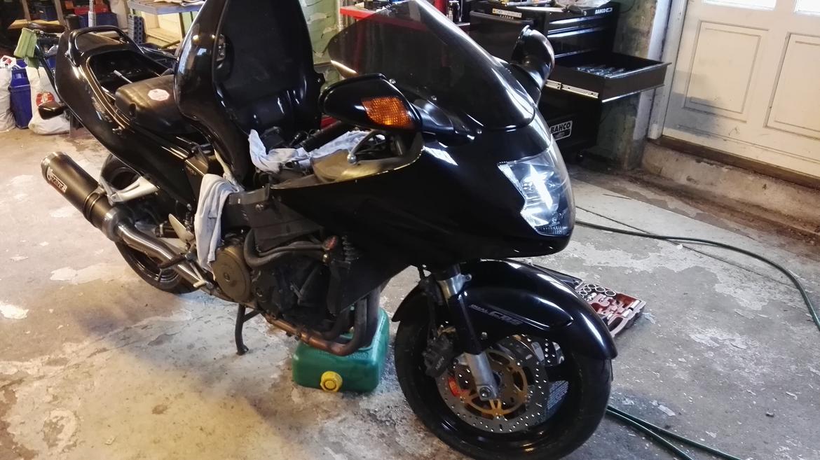 Honda cbr 1100xx blackbird billede 6