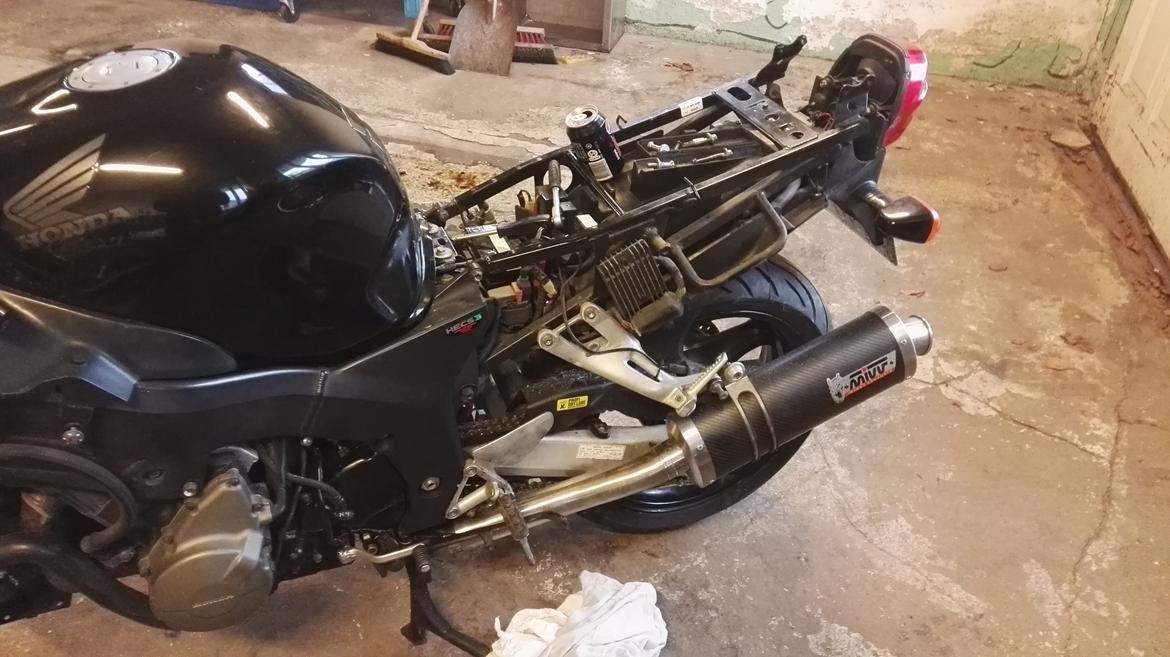 Honda cbr 1100xx blackbird billede 5